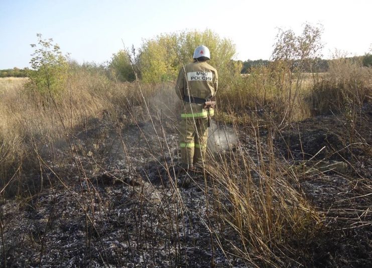 При сжигании травы в Курской области пострадала женщина