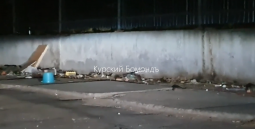 Жители улицы Звездной в Курске жалуются на крыс