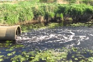 Выявлены предприятия, загрязняющие реку Сейм