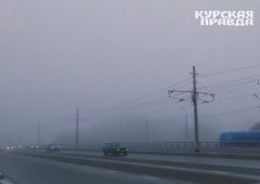 В Курской области ожидается туман и до 5 градуса мороза ночью
