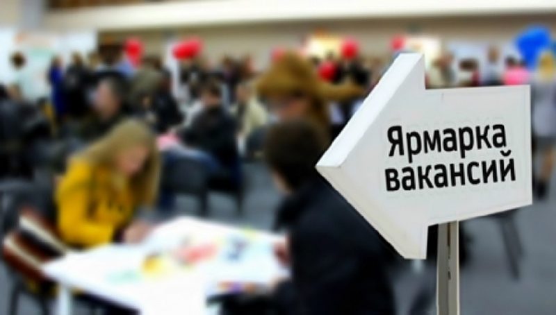 В Курской области за неделю снизился уровень безработицы
