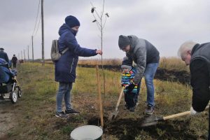 В Курчатове посадили 130 деревьев