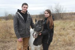 В Курской области появился конный двор «Кор-де-Баталь»