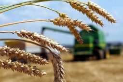 В Аграрном союзе Курской области обсудили будущую посевную