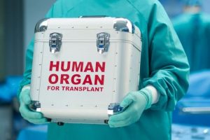 В Курской области подготавливают пациентов для трансплантации печени