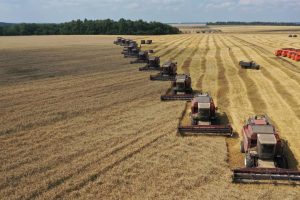 Курские аграрии – рекордсмены  по сбору зерновых