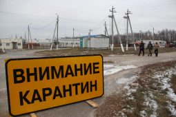 В Курской области дезинфицируют предприятия после вспышки АЧС