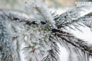 В Курской области прогнозируют мокрый снег и гололедицу