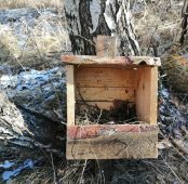 В Курской области устанавливают искусственные гнёзда для птиц