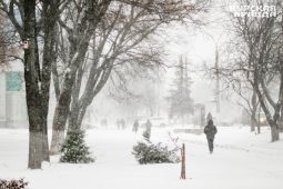 В Курской области 22 января ожидается снег и 12° мороза