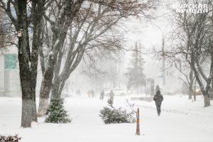 В Курской области 22 января ожидается снег и 12° мороза
