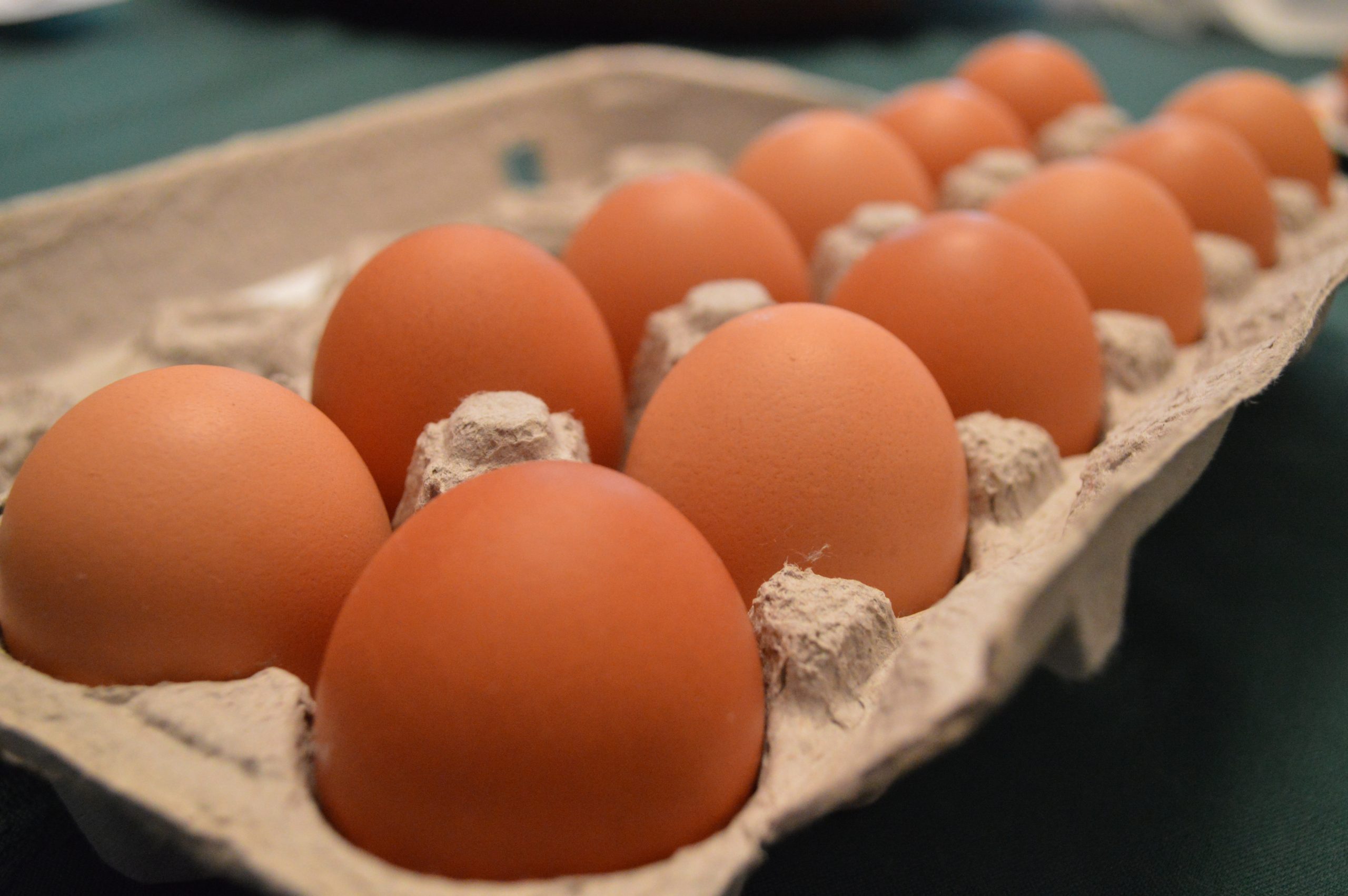 свежие яйца фото