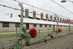 Почтили  память жертв Освенцима