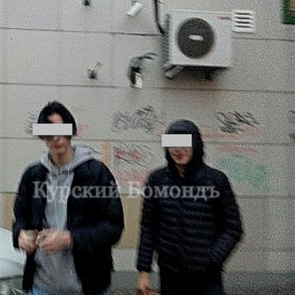 подозреваемые в вандализме