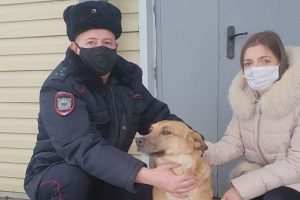В Курске полицейский нашел и вернул хозяйке потерянную собаку