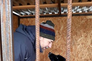 В пункт передержки привезли корм