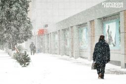 21 января Курскую область накроет сильная метель