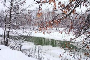 Парк «Боева дача» в Курске стал особо охраняемой территорией