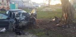 В Курской области машина врезалась в дерево, двое погибли