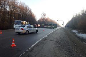 В ДТП в Курской области пострадали два человека