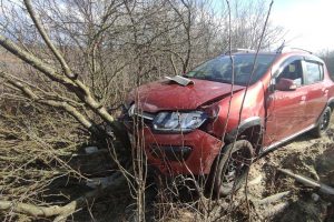 В Курской области пьяный водитель врезался в дерево