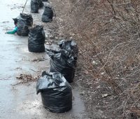На двух улицах Курска убрали 8 кубометров мусора