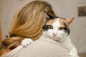 Кот озверел