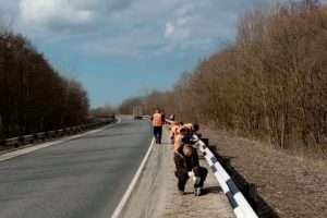 Дорожники  Курской области начали уборку дорог после зимы