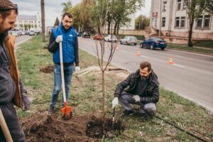 В Курске посадили декоративные деревья по улице 50 лет Октября