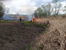 За сутки в Курской области произошло 13 пожаров
