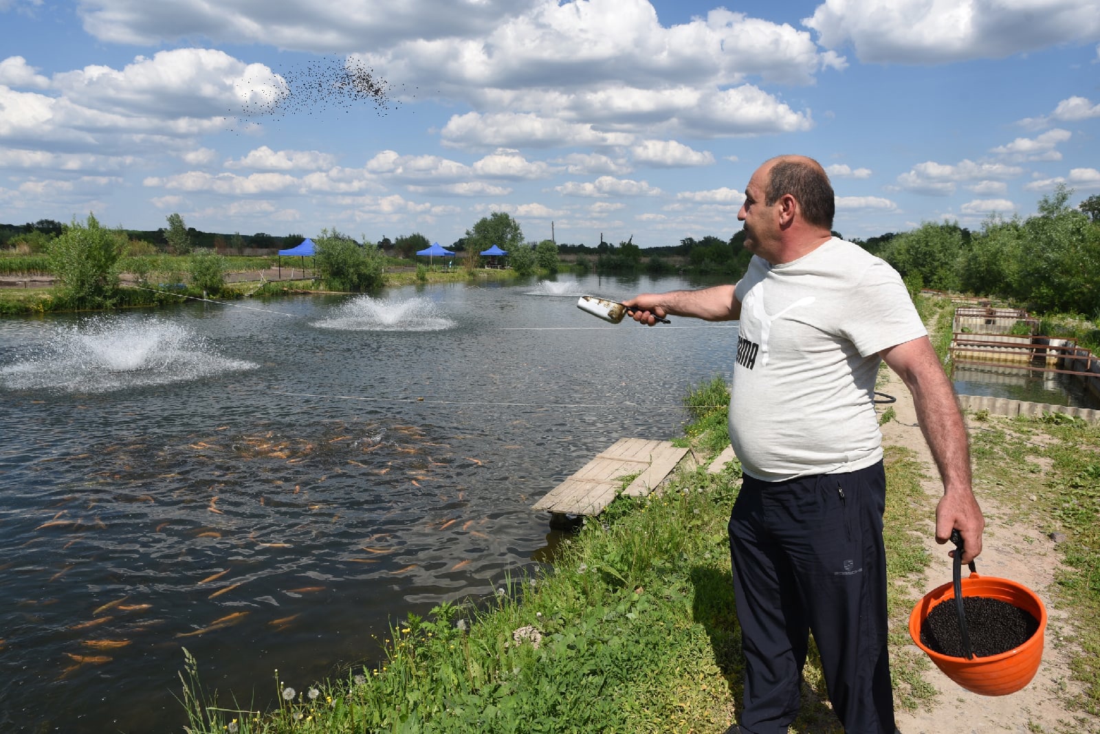 В Курской области фермер разводит речную форель