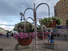 Улица Ленина в Курске запестрила цветами