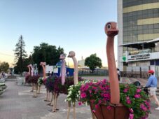 Куряне просят не устанавливать страусов в парке имени Дзержинского