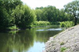Расчистка протоки Кривец в Курске может завершиться в этом году