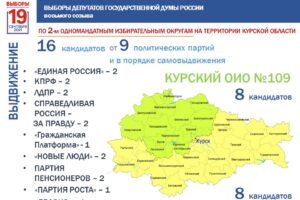 В Курской области завершилось выдвижение кандидатов на выборы в Госдуму