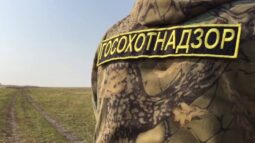 Вблизи деревни Воропаево курский охотовед нашел труп теленка