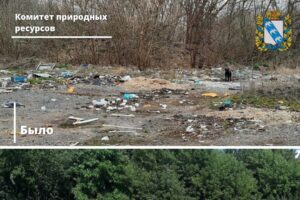 В районе Курской области ликвидировали несанкционированную свалку