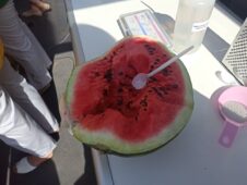 В Курске на фестивале «Свое» проверили первый арбуз на нитраты