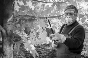 «Американка» объедает сады