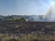 В Курской области из-за возгорания травы пострадала пожилая курянка