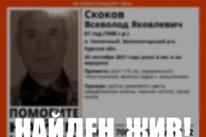 В Курской области пропавший пенсионер найден живым