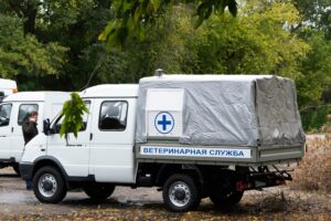 Подарок ветеринарам