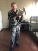 В Курской области аиста, который не может взлететь, передали в приют для животных
