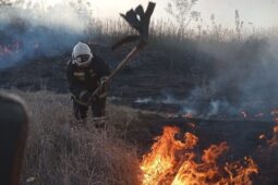 За сутки в Курской области зафиксировано 12 пожаров