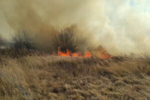 В Курской области в поселке Юбилейный загорелась трава