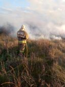 В Курской области за сутки зарегистрировано 27 пожаров