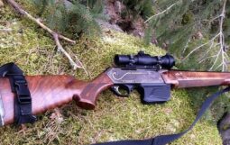 В Курской области браконьер застрелил косулю и попытался скрыться