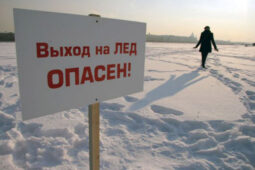 Курские спасатели вывели со льда на Ермошкином озере двух детей
