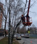В Курске из-за сноса деревьев перекроют 4 улицы