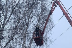 В Курске из-за сноса деревьев временно перекроют три улицы
